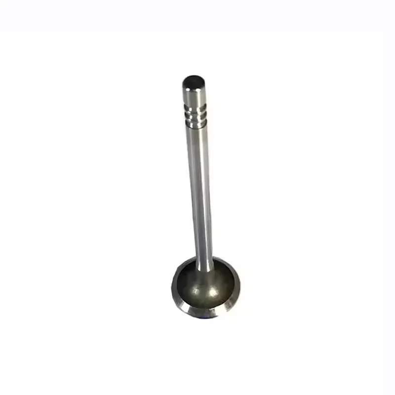 

New Genuine Engine Intake Valve 04663899AA, 04663902AA For Chrysler 300C Dodge Journey