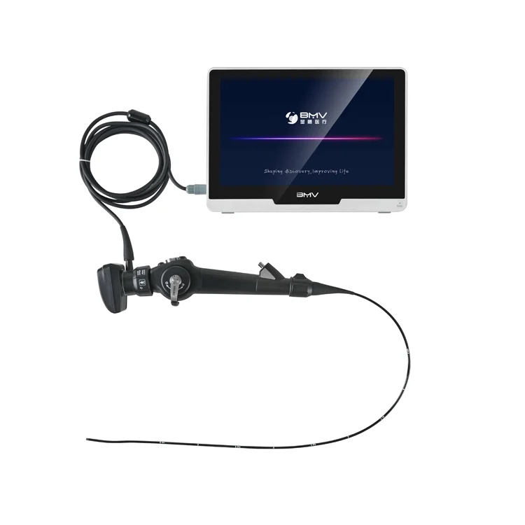 Portable Small Animal Video Endoscope Bronchoscope Gastroscope Colonoscope Ureteroscopy for Veterinary PET Endoscopy