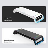 RGB Computer Stand with USB 3.0 Hub, 4-Port Monitor Stand for Desktop, Cool Lighting Laptop Stand for MacBook/PC/Gamers
