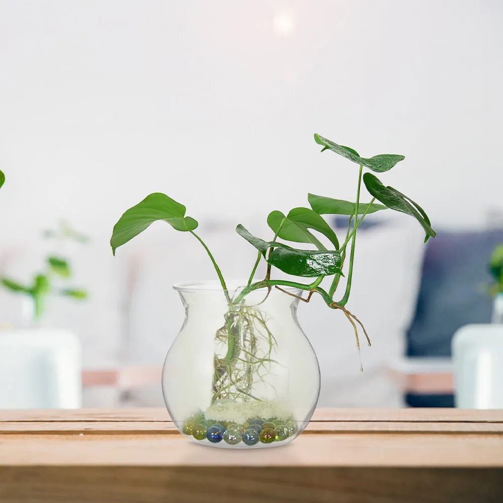8Pcs Micro Landscape Hydroponic Plant Pots Clear Unbreakable Succulent Planters for Desk Bookshelf Home Decor Terrarium