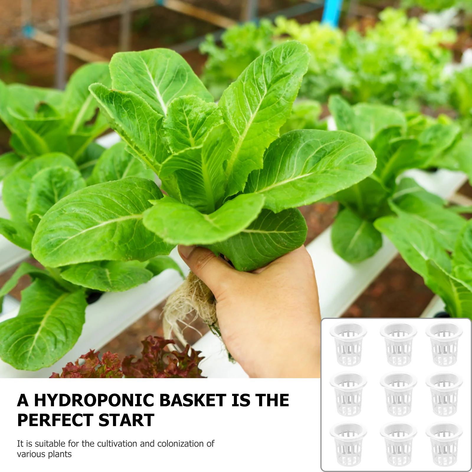 

50 pcs Hydroponic Net Cups 3Cm Plant Starter Baskets For Soilless Cultivation Garden Growing System Vegetables Herbs Greenhouse