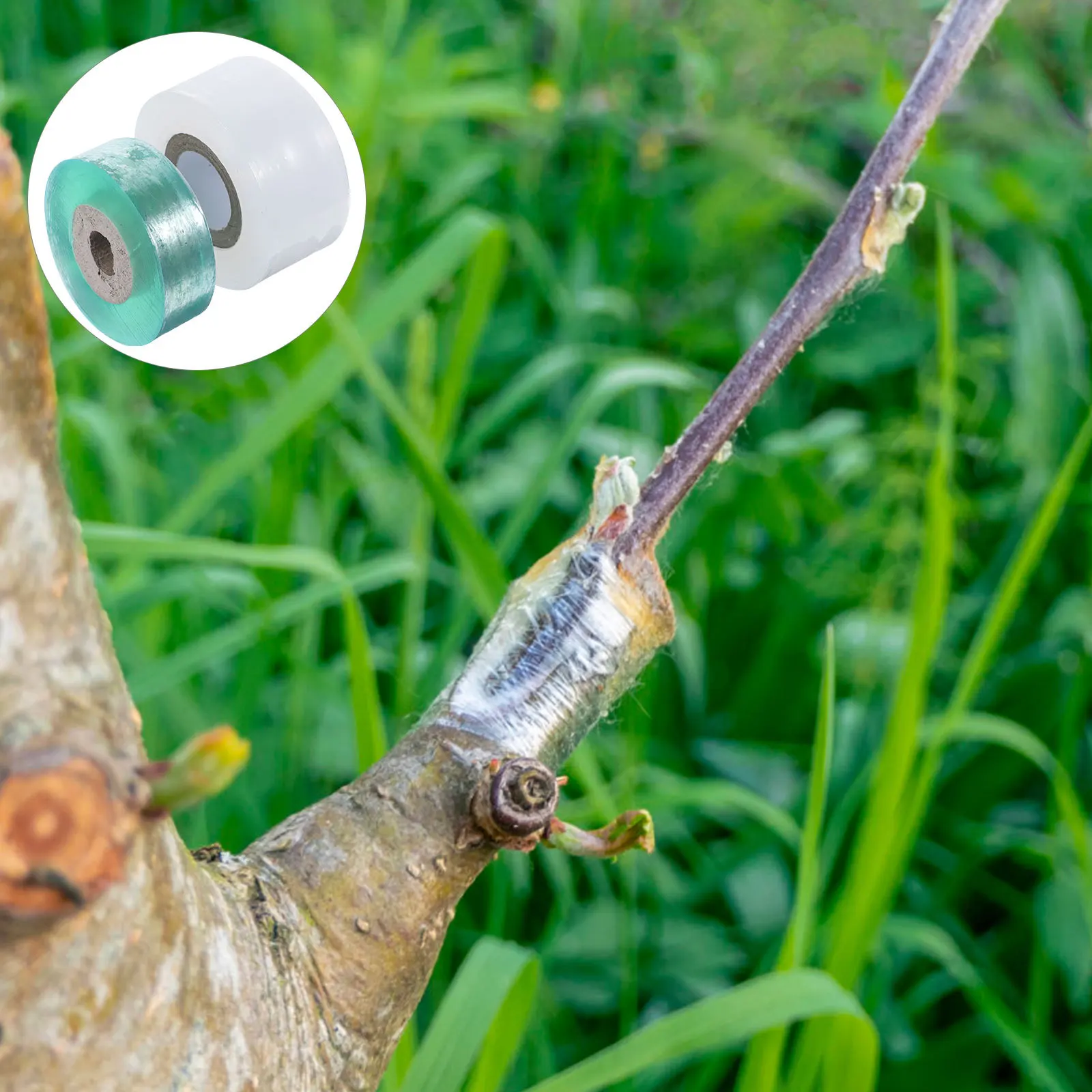 

2 Rolls Transparent Grafting Tape Flexible Self-Binding Plant Tape for Floral Tree Nursery Garden Tool Accessory