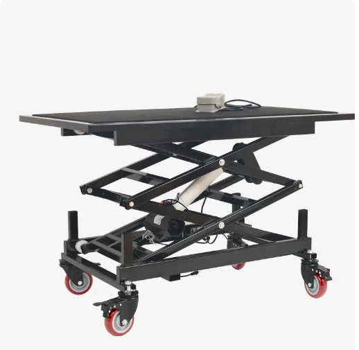 Electro-hydraulic Mobile 180kg Load-bearing Scissor Lift Table Interior Decoration Artifact
