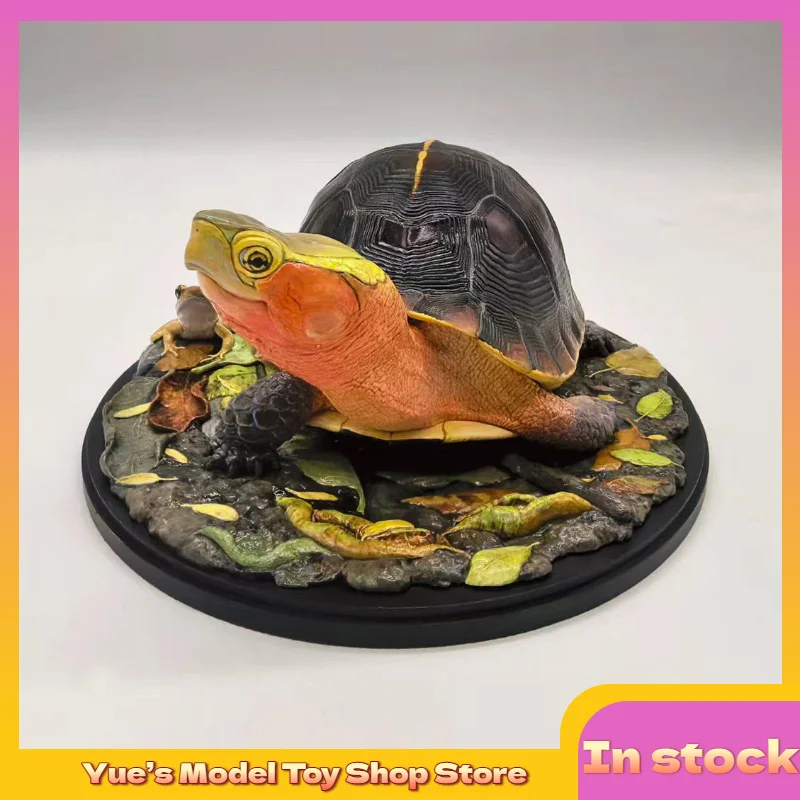 

[In Stock] Yellow Edge Closed-shell Turtle Model Toy Collection Gift