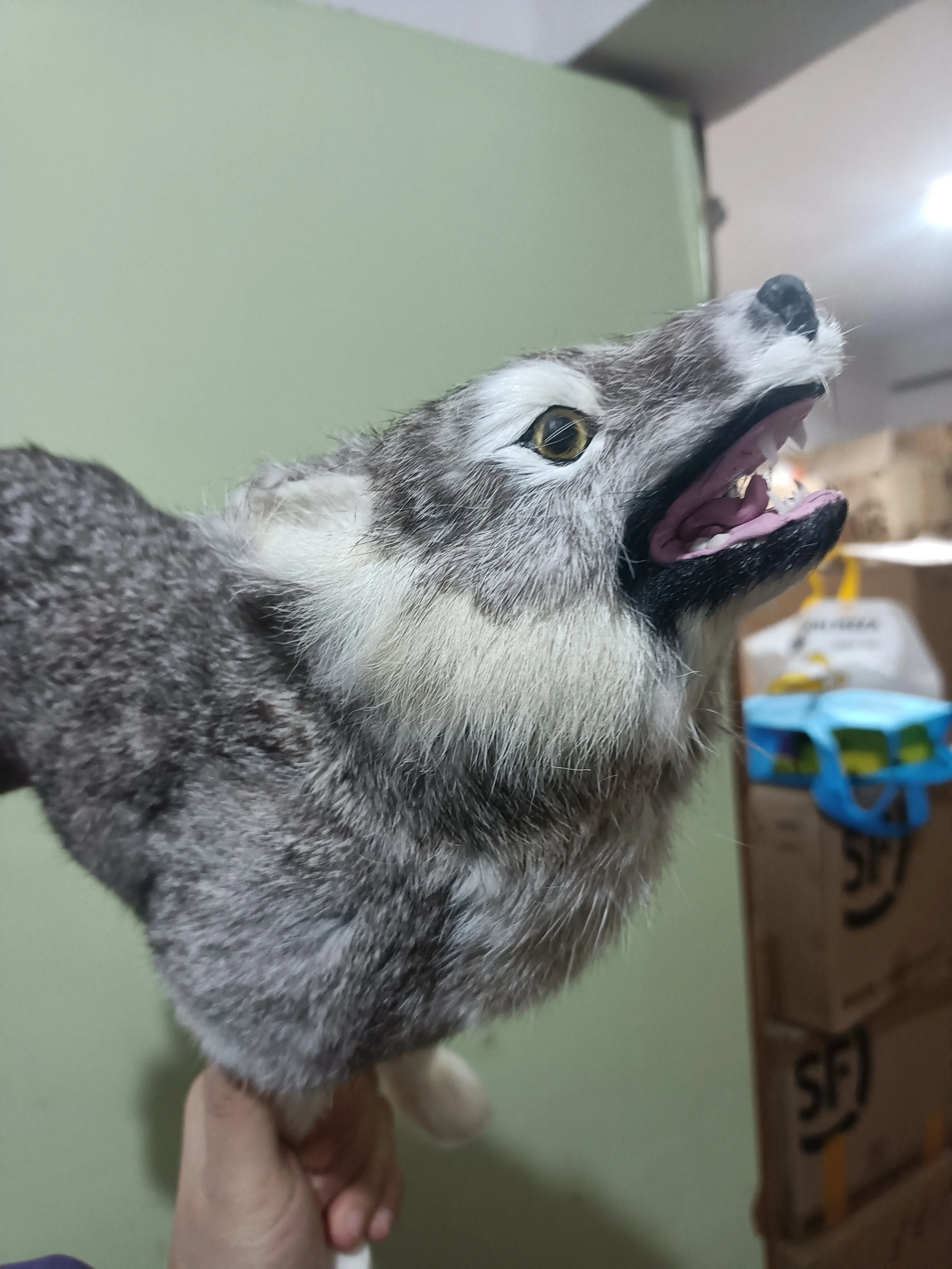 35cm Gray Wolf Model Simulation Educational Animal Sculpture Gift Polyethylene & Furs