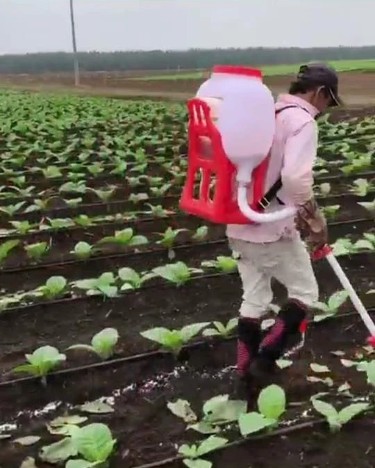 2025 최고급 신형 디자인 비료 핸드 라임 스프레더/농업용 비료 스프레더