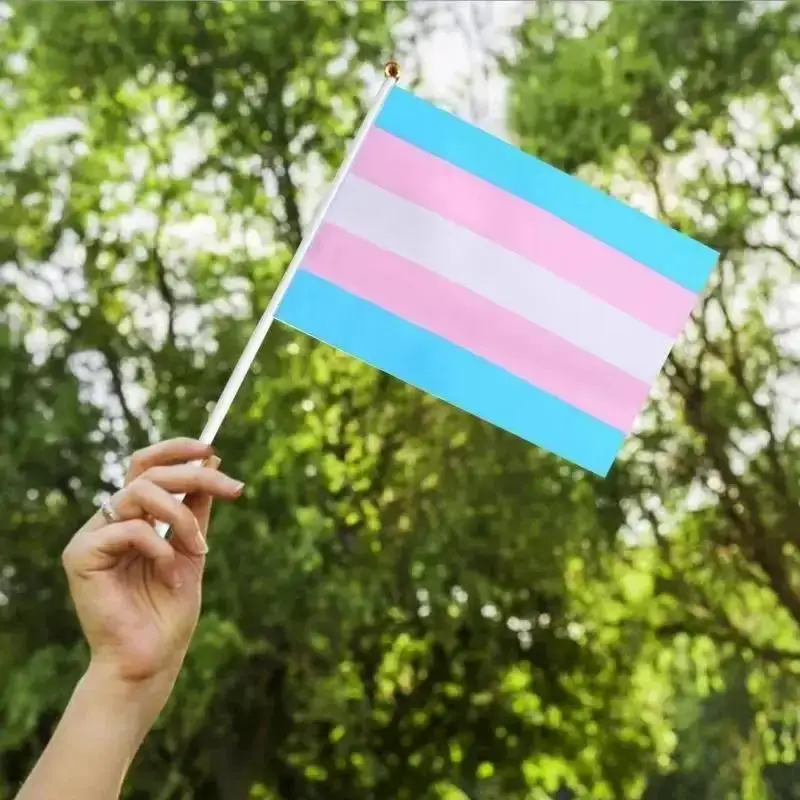 قوس قزح اليد يلوحون العلم مثليه مثلي الجنس ثنائي الجنس المتحولين جنسيا LGBT فخر العلم 14x21 سنتيمتر فخر شهر الملونة العلم ديكور المنزل