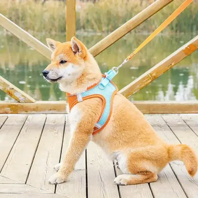 Reflective Dog Harness And Leash Set Adjustable Breathable Vest_voghion.com