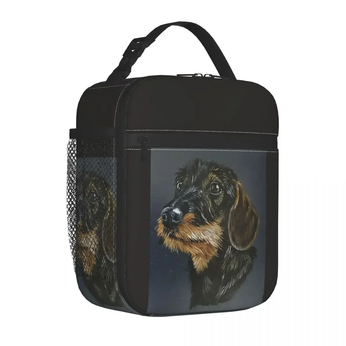 dachshund-isolados-lunch-bag-com-cerdas-duras-saco-termico-lunch-container-salsicha-dog-lover-tote-box-leakproof-escola