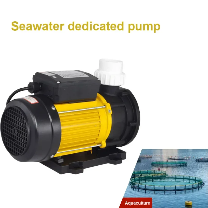 Circulation Pump Suitable For Hot Tub Spa Tubs Whirlpool Bath Swimming Pool Corrosion Resistant Seawater Circulation Pump 220V