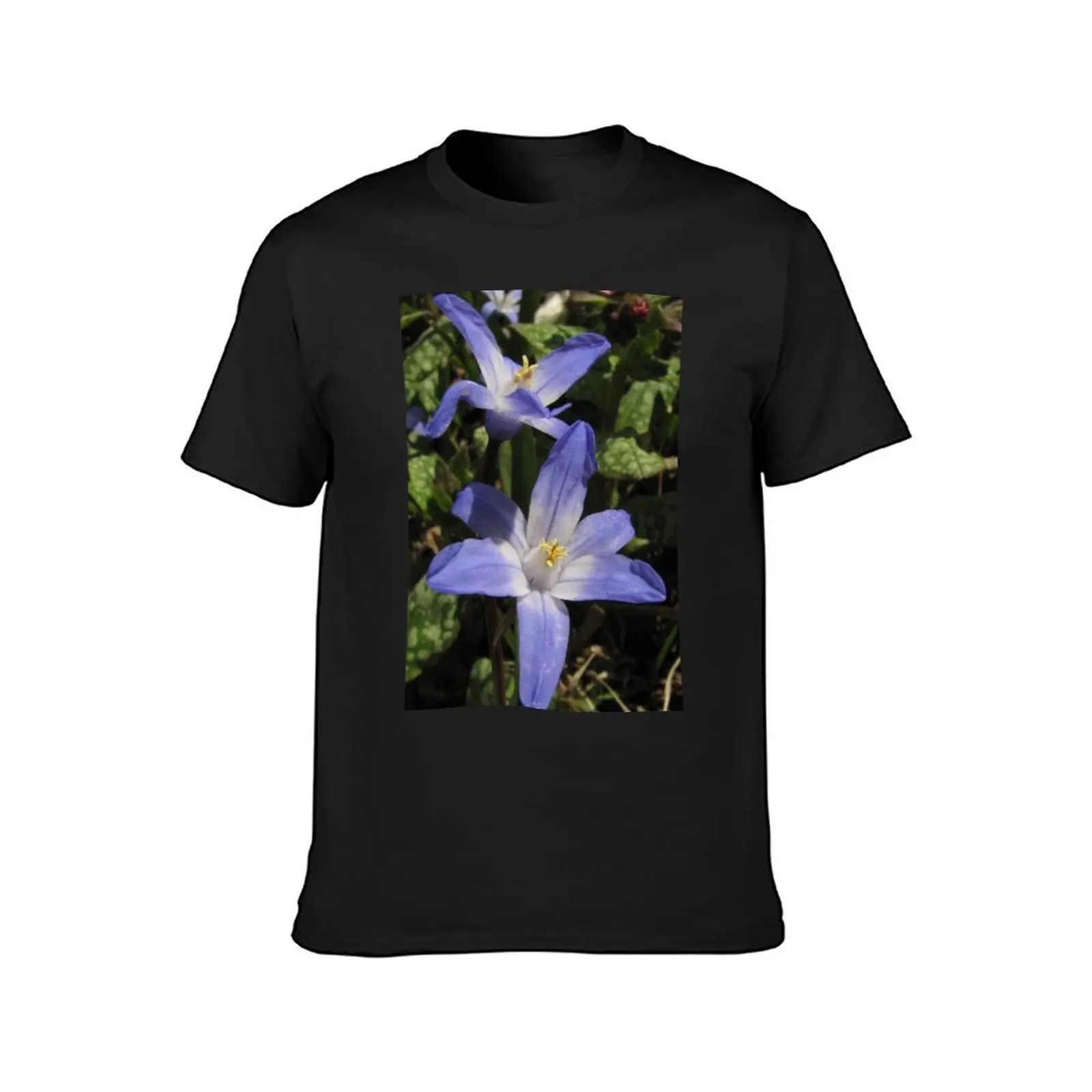 Glory-of-the-snow (Chionodoxa) T-Shirt Short sleeve tee customs design your own blanks sublime mens clothes