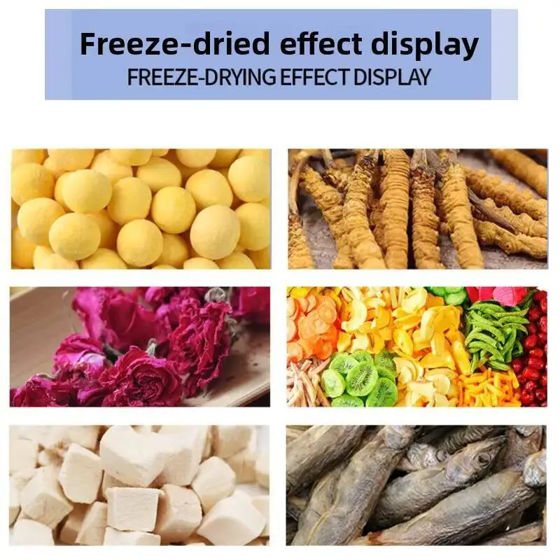 استخدم مكنسة منزلية يمكنك صنعها بنفسك لتجفيف مجفف الفاكهة وتجميد آلة الحيوانات الأليفة والخضروات معدات غذائية كبيرة