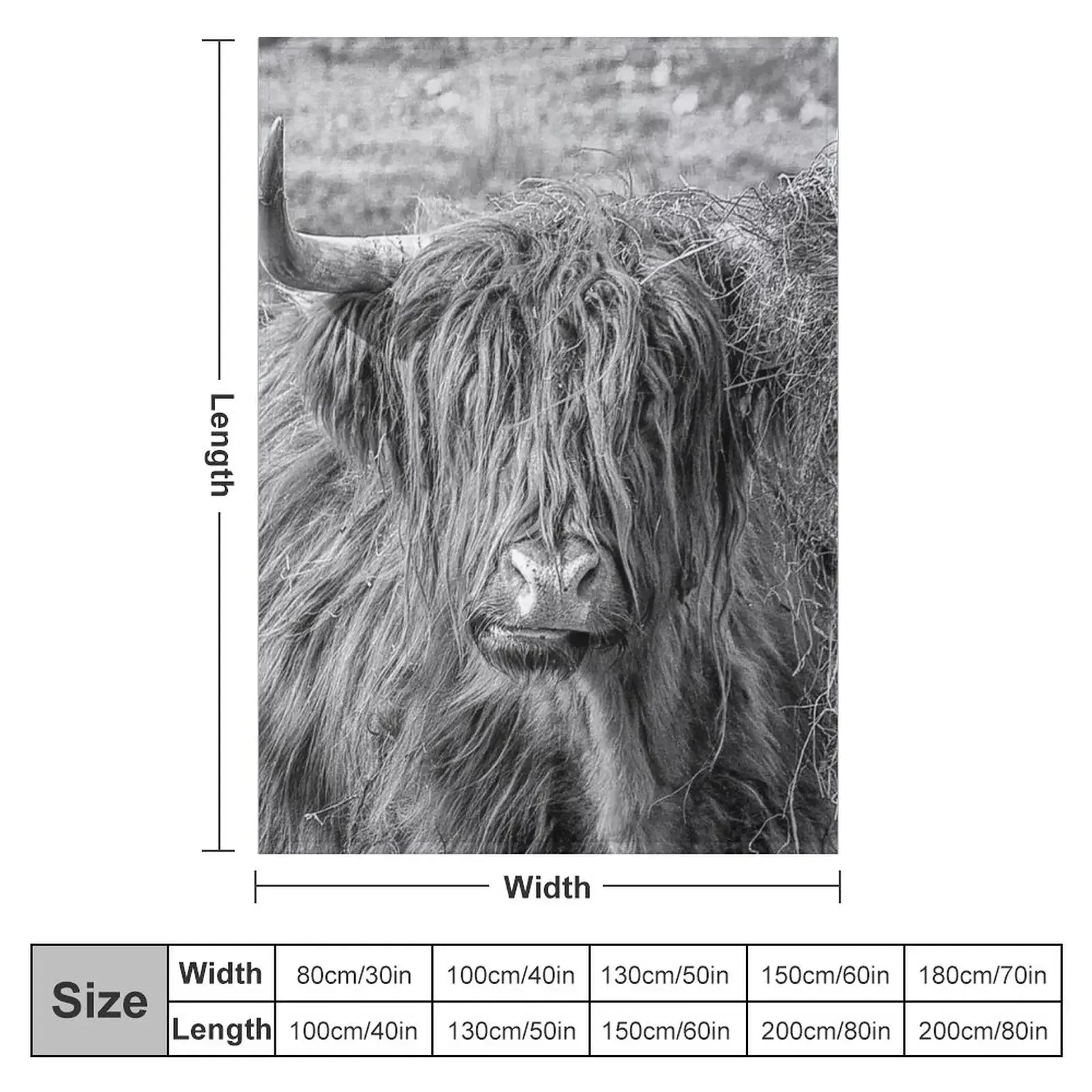 New Black and white Scottish Highland cow Throw Blanket Summer Beddings Heavy halloween Sofas Blankets