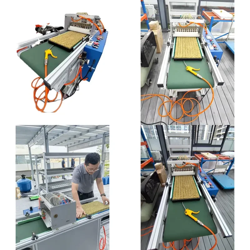 SFW Certificate Vegetable Tray Nursery Seedling Seeder Seed Planting Machine