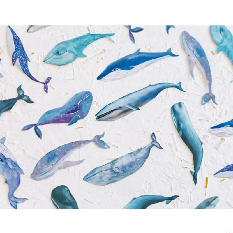 W89c Whale Fish 30x для любителей книг Читайте карточку офисного школьного сообщения