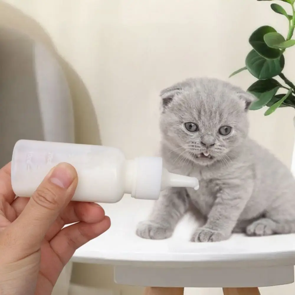 Bottiglia di latte per allattamento per animali domestici antisoffocamento morbida con scala Bottiglia per capezzoli per gattini Resistenza ai morsi Alimentatore per ciuccio per gatti per animali domestici appena nati