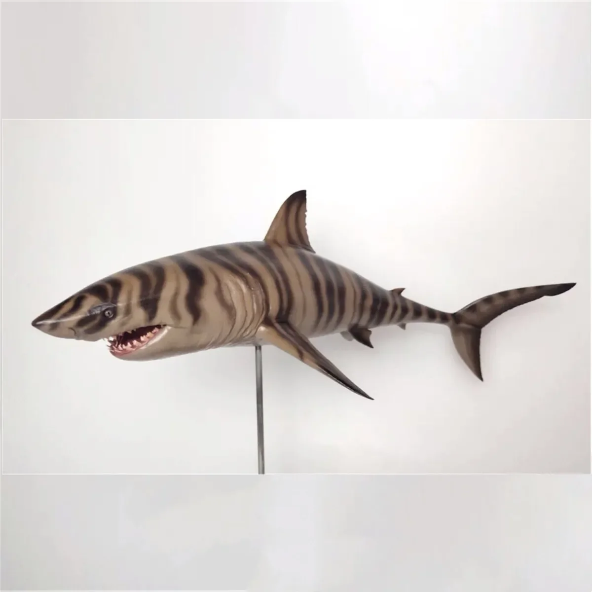 

Rheic 1/35 Cretoxyrhina Model Ocean Cretaceous Shark Animal Educational for Children Collector Toy Decoration