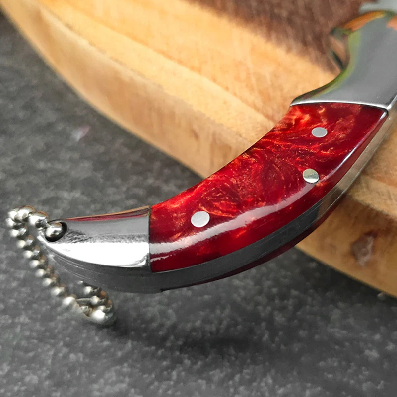 Stainless Steel Folding Knife Camping Knife Barbecue Praing Unpacking Pocket Knife Key Chain Outdoors Fishing Mini Utility Knife