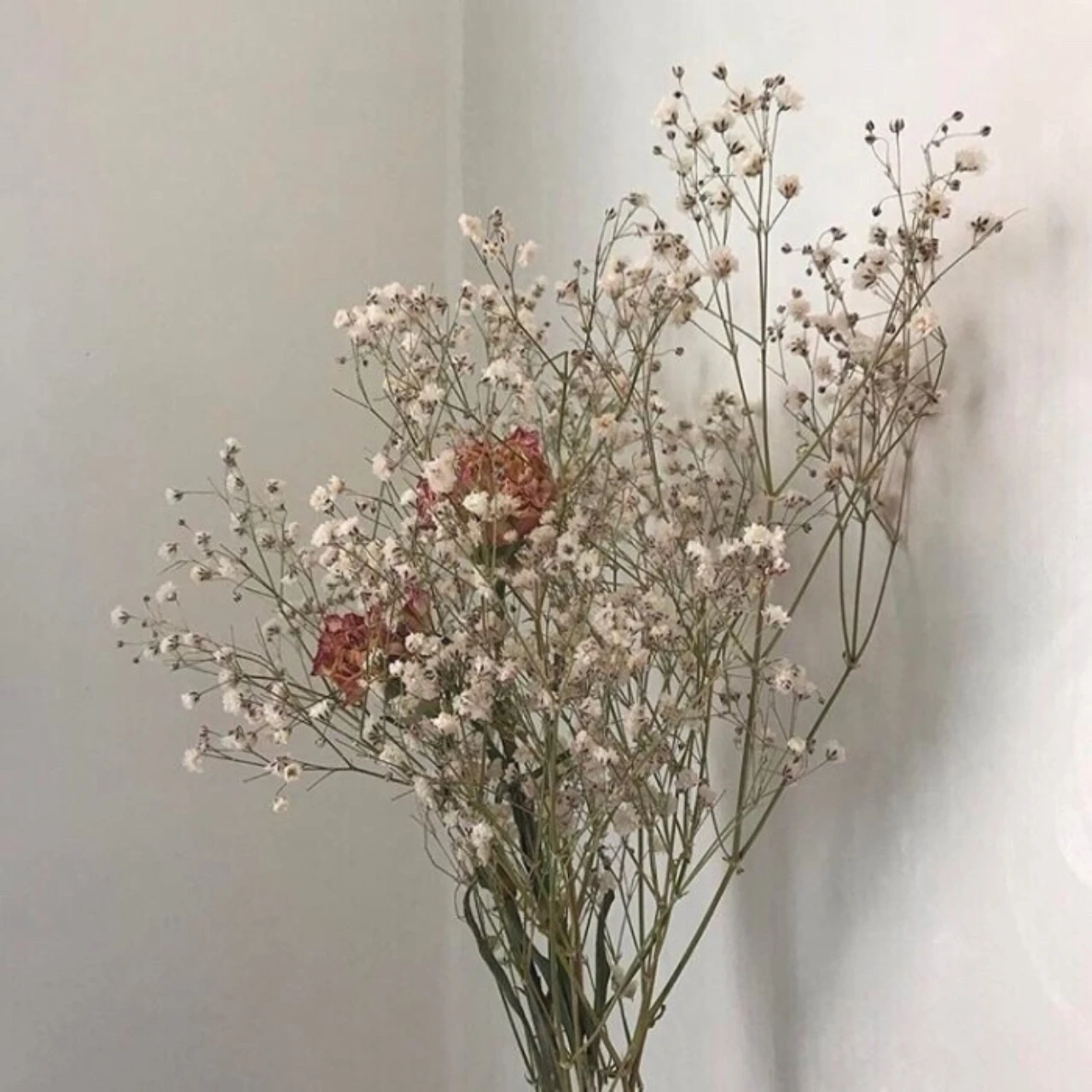 

Задние нижние рычаги из сплава GPM для LOSI 1/18 Mini-T 2.0 1/16 Mini-B