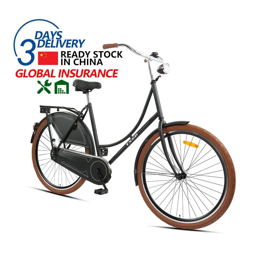

TXED Promotion Discount OMA Style 28 Inch Single Speed Retro City Bike