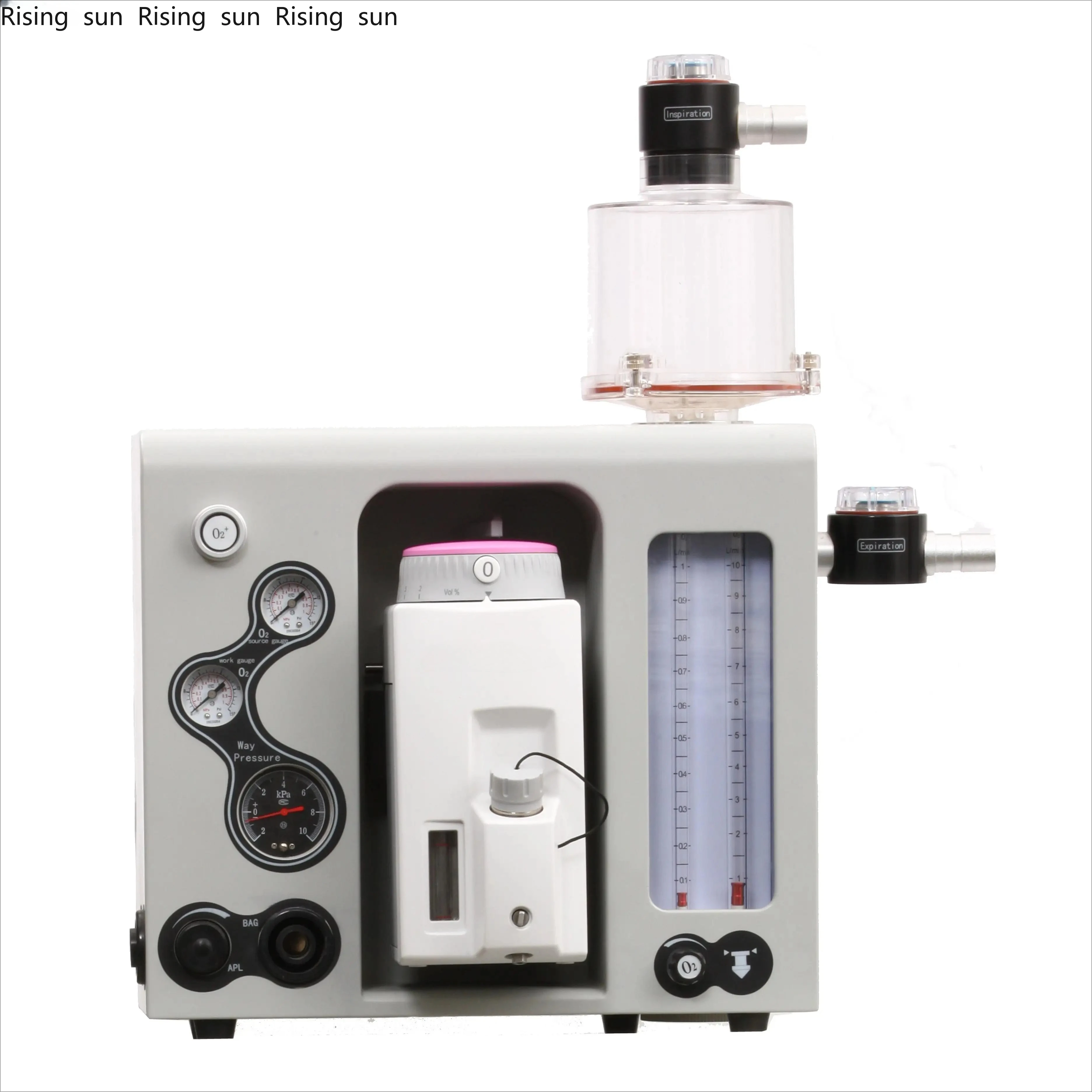 

Medical Equipment Vet Hospital Clinic veterinary machine for sale