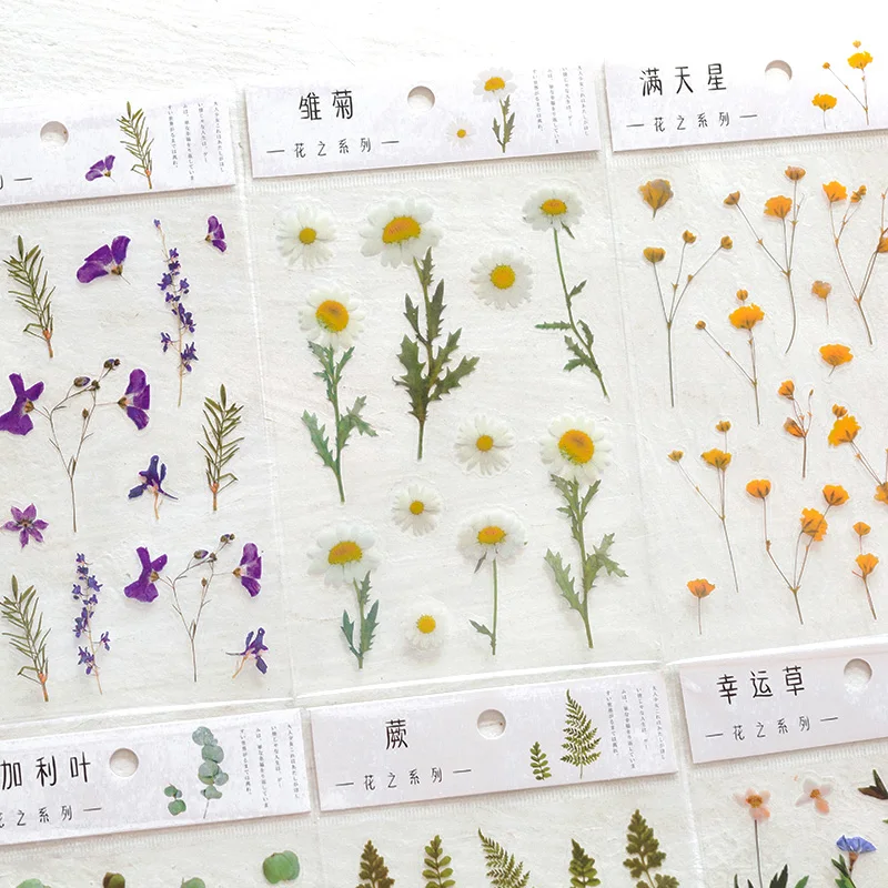 

Прозрачные винтажные цветочные наклейки для домашних животных, водонепроницаемые милые цветочные наклейки для скрапбукинга, журнала, декор для планировщика, принадлежности для рукоделия «сделай сам»