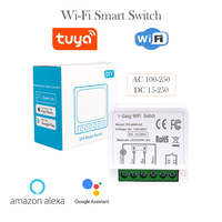 COLOROCK DIY Smart WiFi Switch Tuya and Smart Life App Control Works with Alexa and Google Assistant 16A