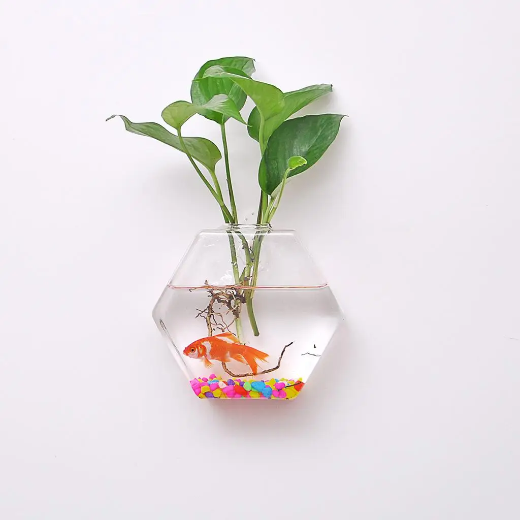 

Hanging ers Glass er Glass Pot - Glass Hanging Vases for Container