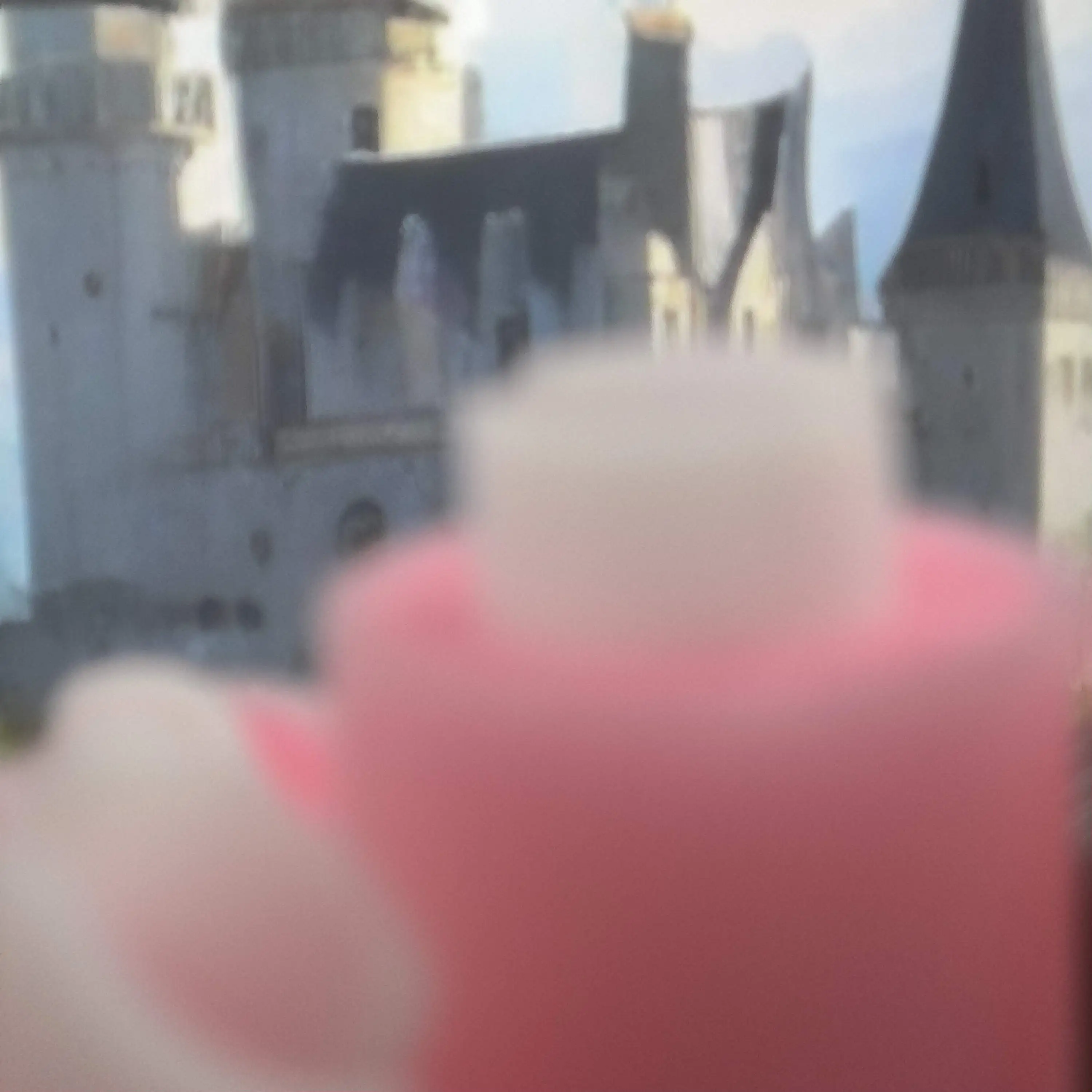 

20Pcs Long Life Seperation Roller FC5-2528-000 For use in Canon ADV6055 6065 6075 6255 6265 6275 8105 8095 8085 8205 8295 8505