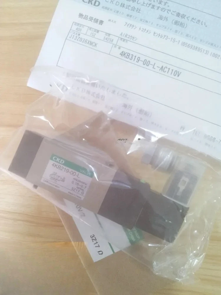 

solenoid valve 4KB219-00-L-AC110V