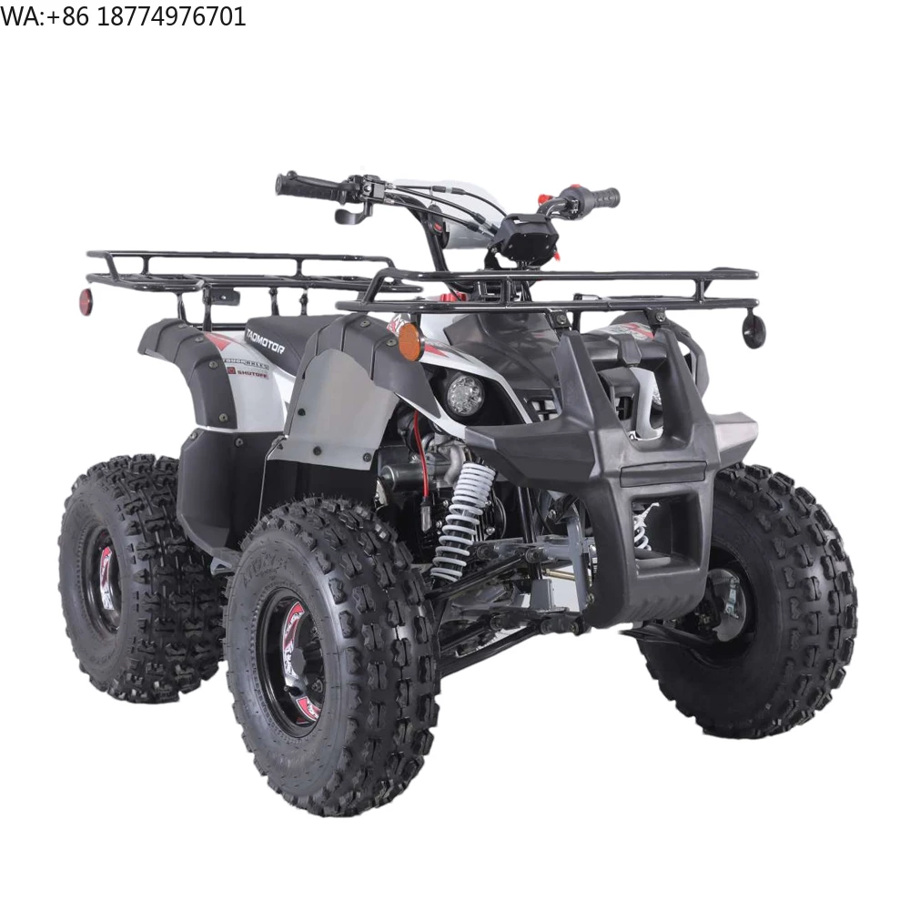 Tao Motor Quad Bike Atv Customized for Kids Automatic 110cc 12V 5AH Atv 4x2  Front Disc+rear Drum 2WD