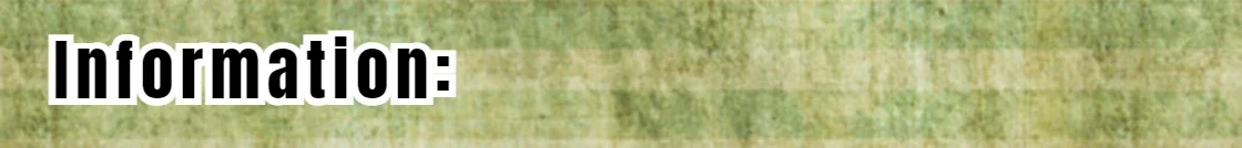 9/11 25. Jahrestag 343 Gefallene Feuerwehrleute Bronzebeschichtete Gedenkmünze Nie Vergessen WTC Tribut-Souvenir-Münze Heimdekoration – Detail 2