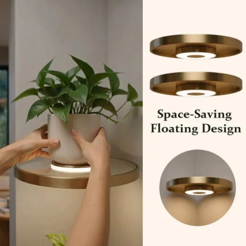 Gold Round Floating Wall Shelf with LED Light Built in Wall Mount Plant Display Rack for Bedroom Living Room Home Decor