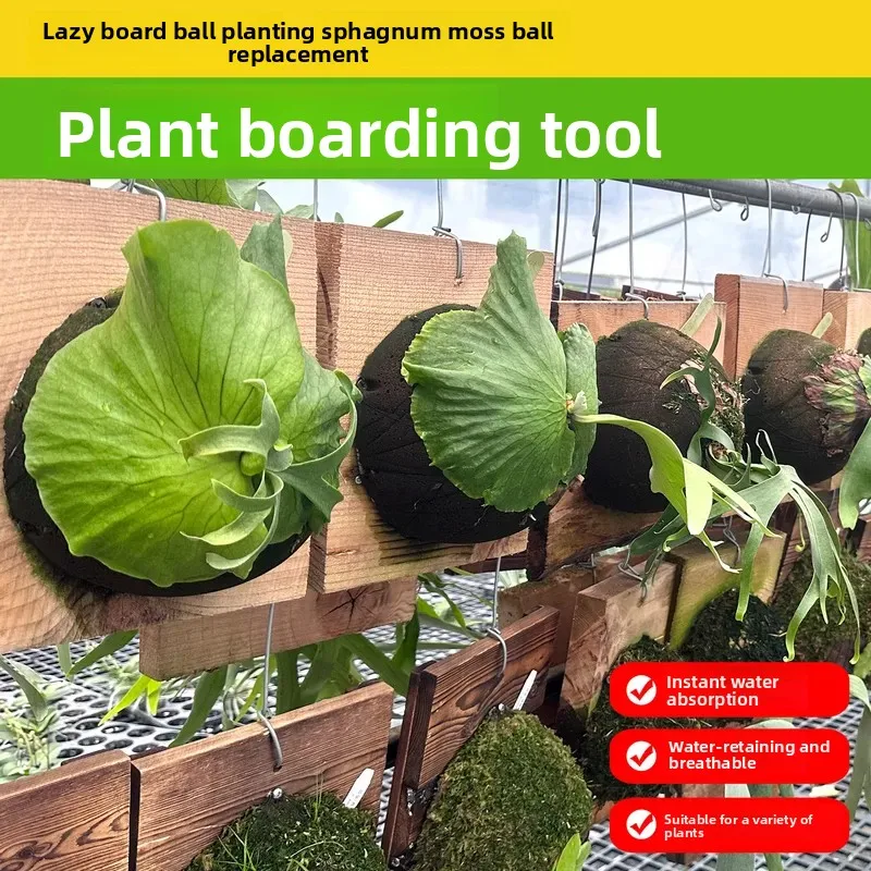 For  Cricket Flat Replacement Water Moss Ball Phalaenopsis Carbon Cotton Matrix Plant Wall Board No Rubbing