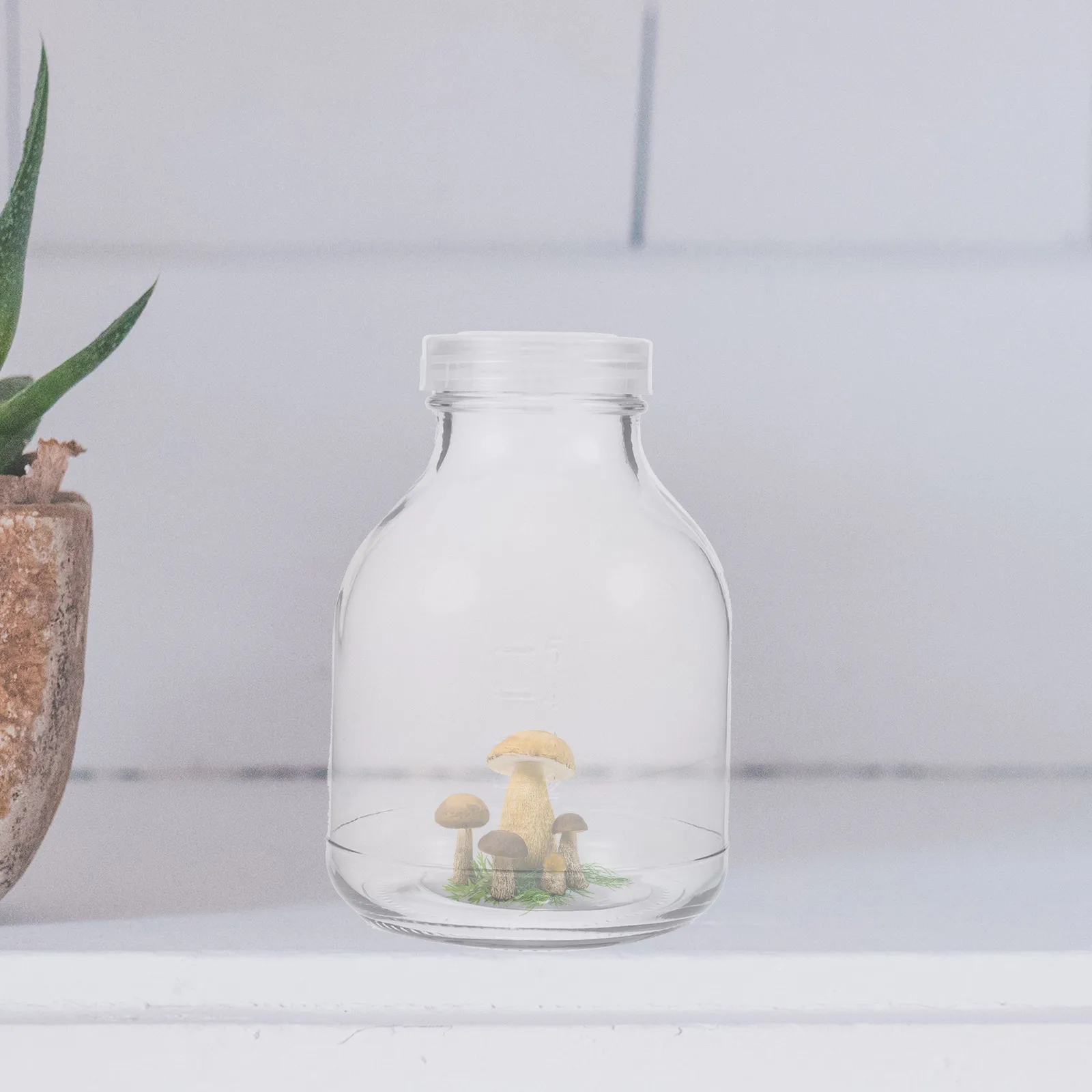 

Набор из 3 дышащих контейнеров для выращивания грибов и растений, 650 мл, для домашнего сада и питомника