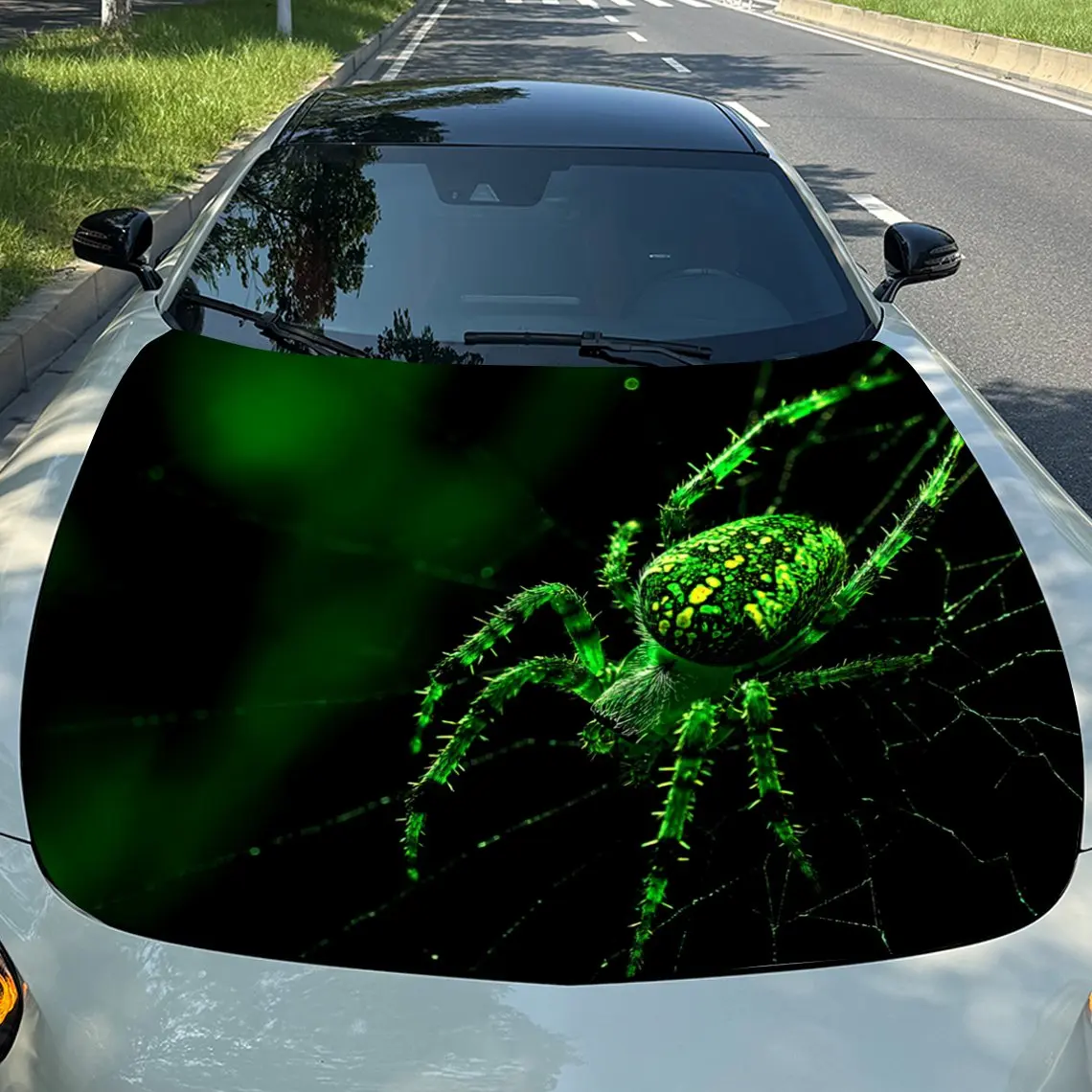 Poisonous Spider - Cool-Style Vinyl For Car, SUV, Truck - Auto Accessories, Car Decoration | Durable Vinyl Decal, Car Decals