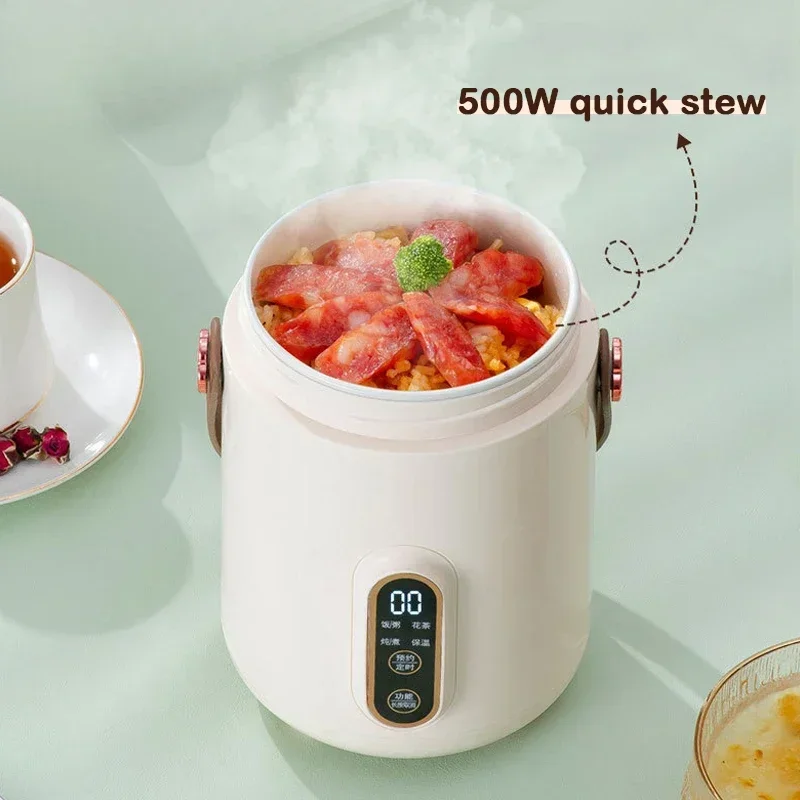 110V Electric Kettle Health Tea Water Boiler Stew Hot Pot Soup Porridge Slow Cooker Rice Cooking Heating Lunch Box Food Warmer