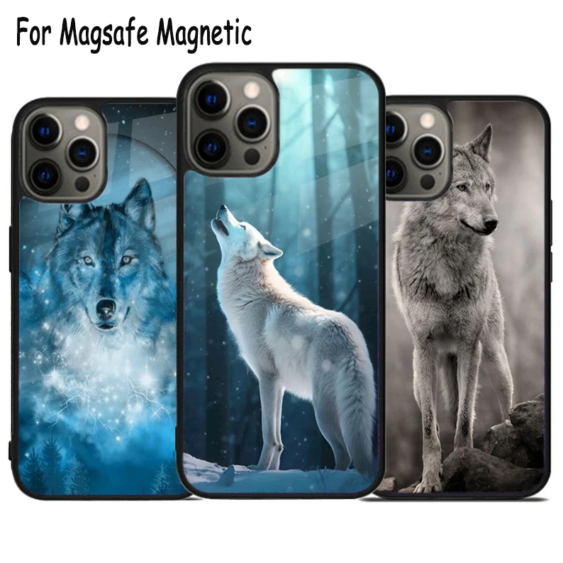 حافظة لهاتف آيفون 17 اير 15 16 16e 14 13 11 12 Pro Max Plus Magsafe غطاء مغناطيسي