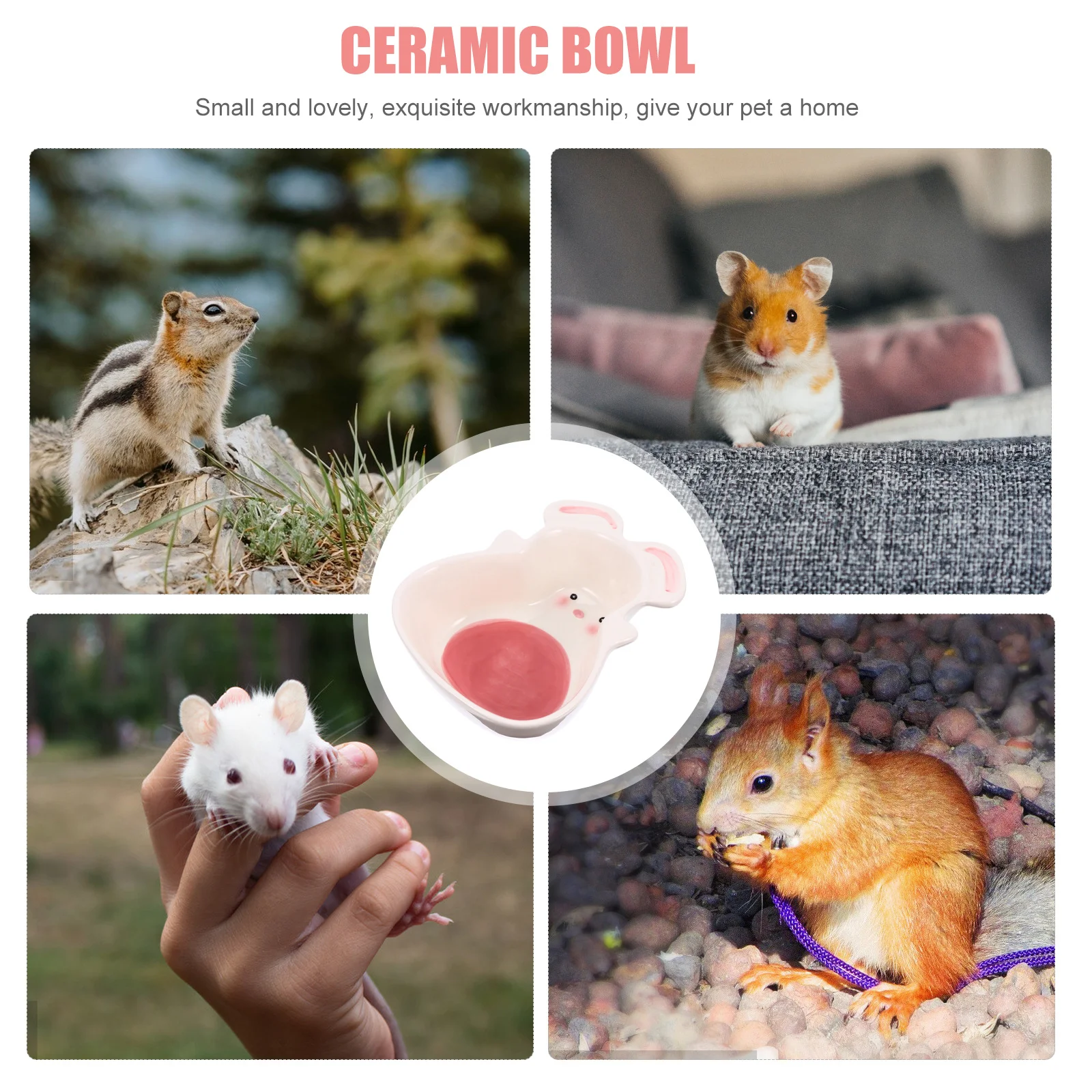 

Ceramic Pet Bowl Non-Toxic Rabbit Hamster Food Feeding Basin Durable Small Animals Food Dish Pet Ceramic Feeder