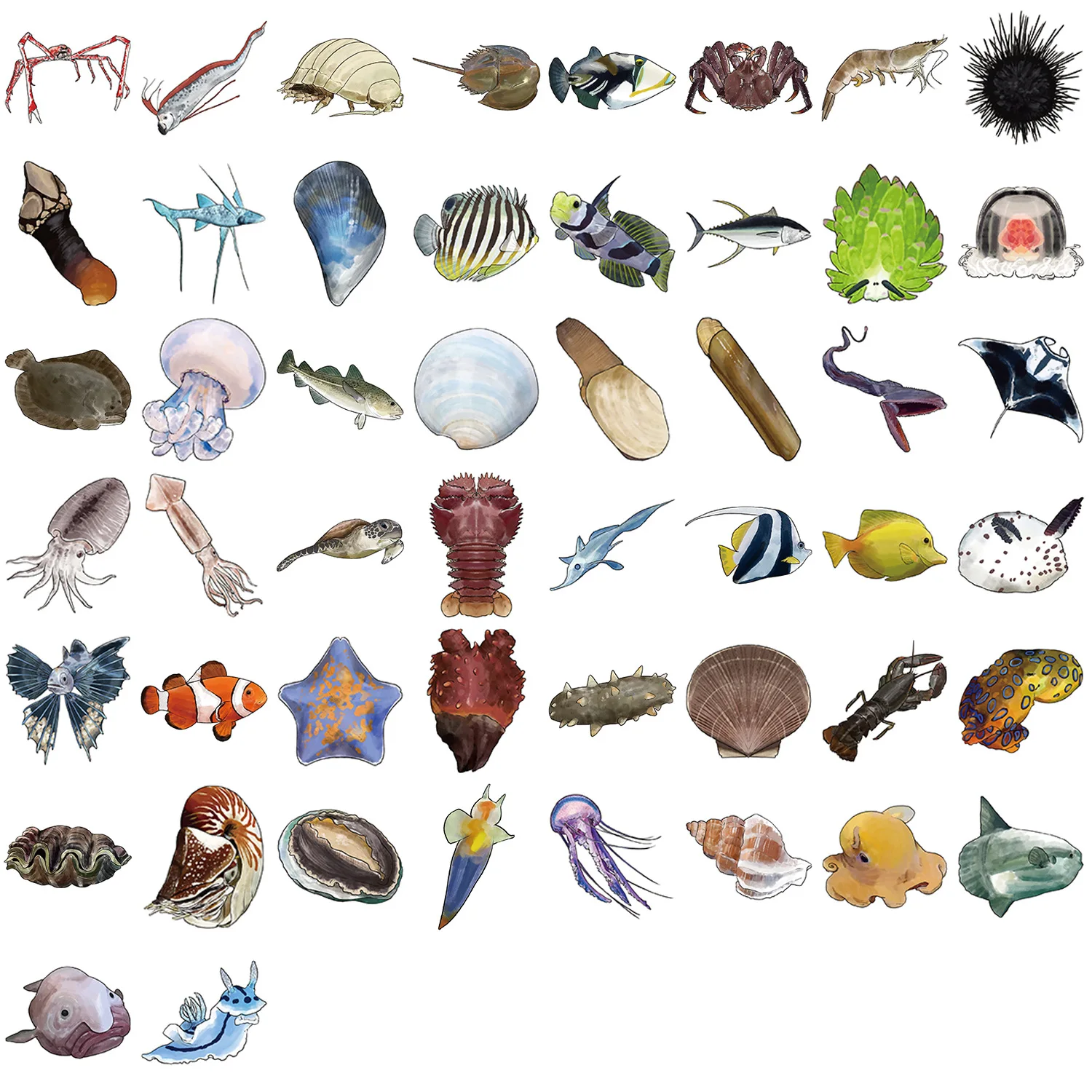 50PCS Funny Marine Life Cartoon Stickers Fish Shrimp Shell Animal Graffiti Decoration DIY Toys Fridge Laptop Guitar Bike Decals