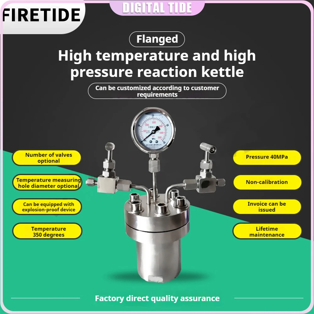 25ml 6Mpa High temperature high pressure reaction kettle/explosion-proof synthesis reaction kettle/hydrogenation