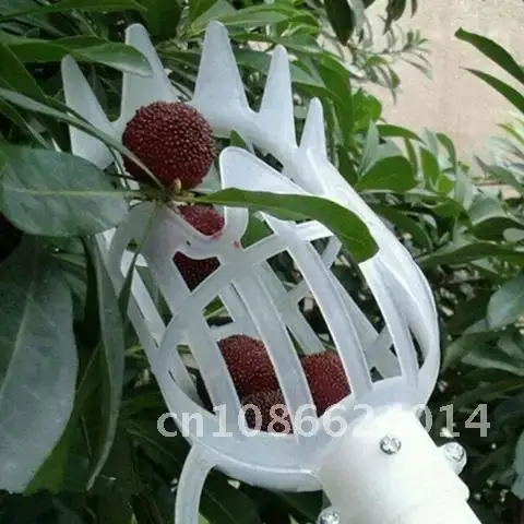 Fruit Collection Garden Tools Greenhouse Garden Fruit Picker Head Tool Bayberry Harvester Device