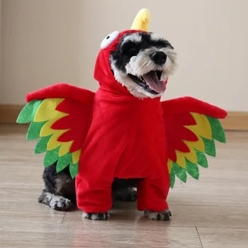 Parrot Dog Costume 1