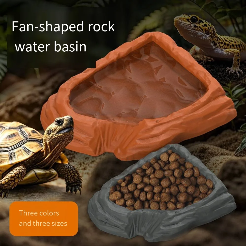 Lizard Gecko Turtle…