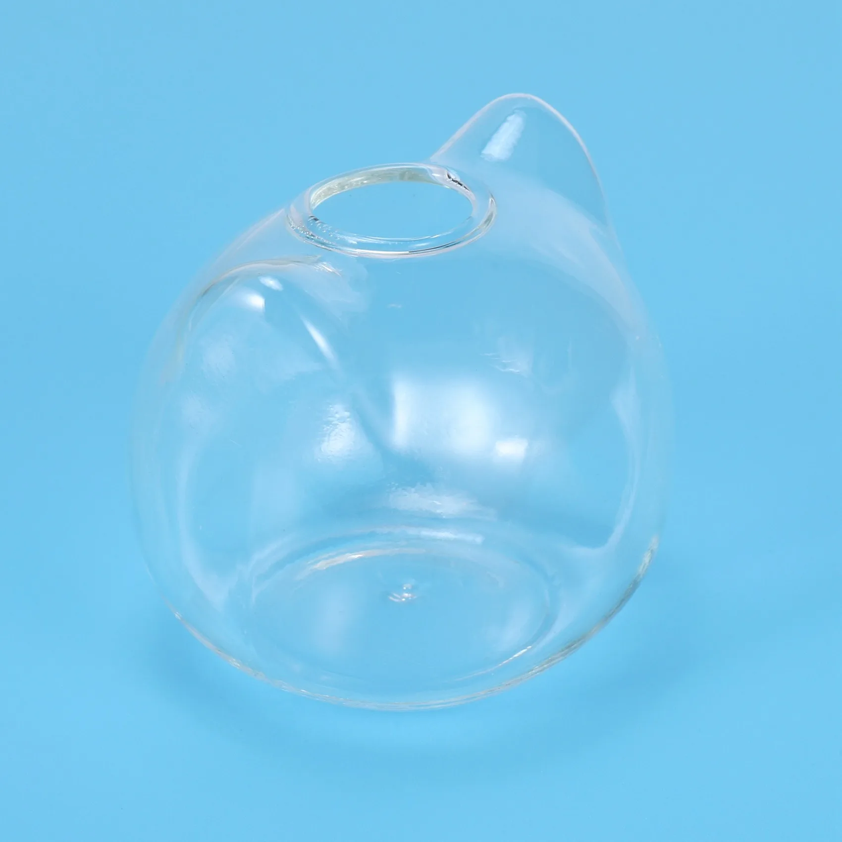 A64Z Cat Shaped Glass Vase Hydroponic Plant Flower Vase Terrarium Container Pot Decor Art Gift