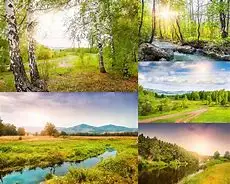 18T ذراع مؤازر معدني/قرص مؤازر لطائرة سباق RC بدون طيار FPV موديل DS5160 RDS5160 قطع غيار مؤازرة رقمية #1