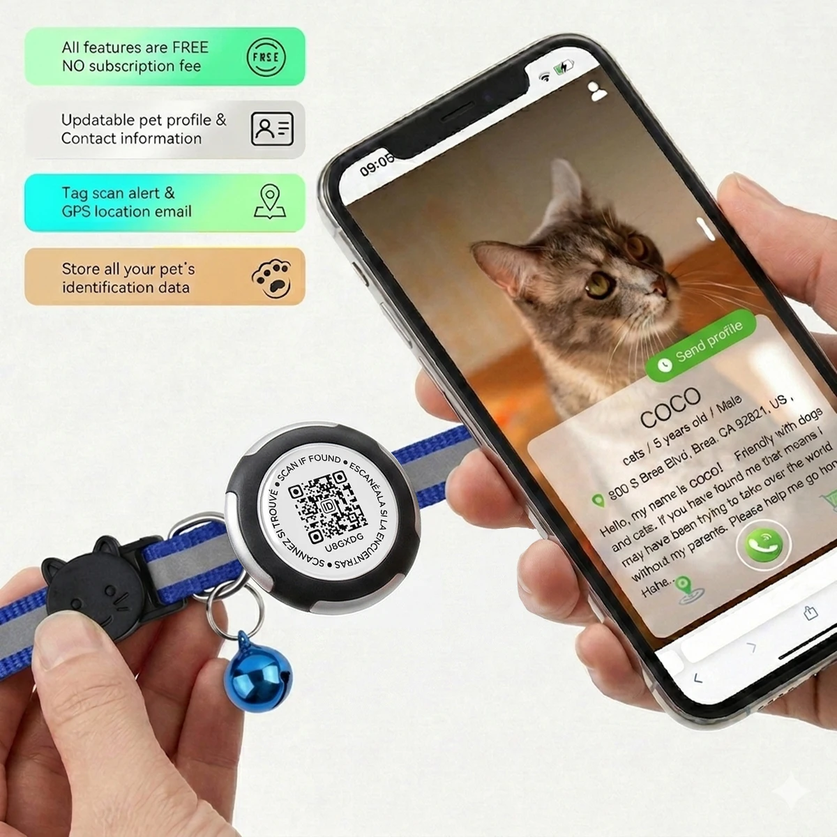 AirTag Cat Collar with Air tag Holder & Pet Name QR Code Dual Protection Reflective Pet Collar for Kitten Puppy (No Airtag) view 4