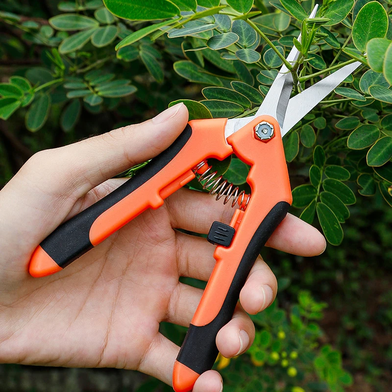 Garden Stainless Steel Flower Scissors Pruning Fruit Pruning Grape Pruning Straight Head Gardening Scissors Pruning Flowers