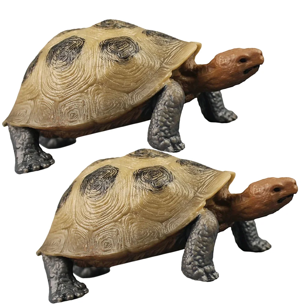 Jouet décoratif en PVC pour enfants, modèle de tortue de simulation, modèles d'animaux, figurAuckland, ornement, 2 pièces