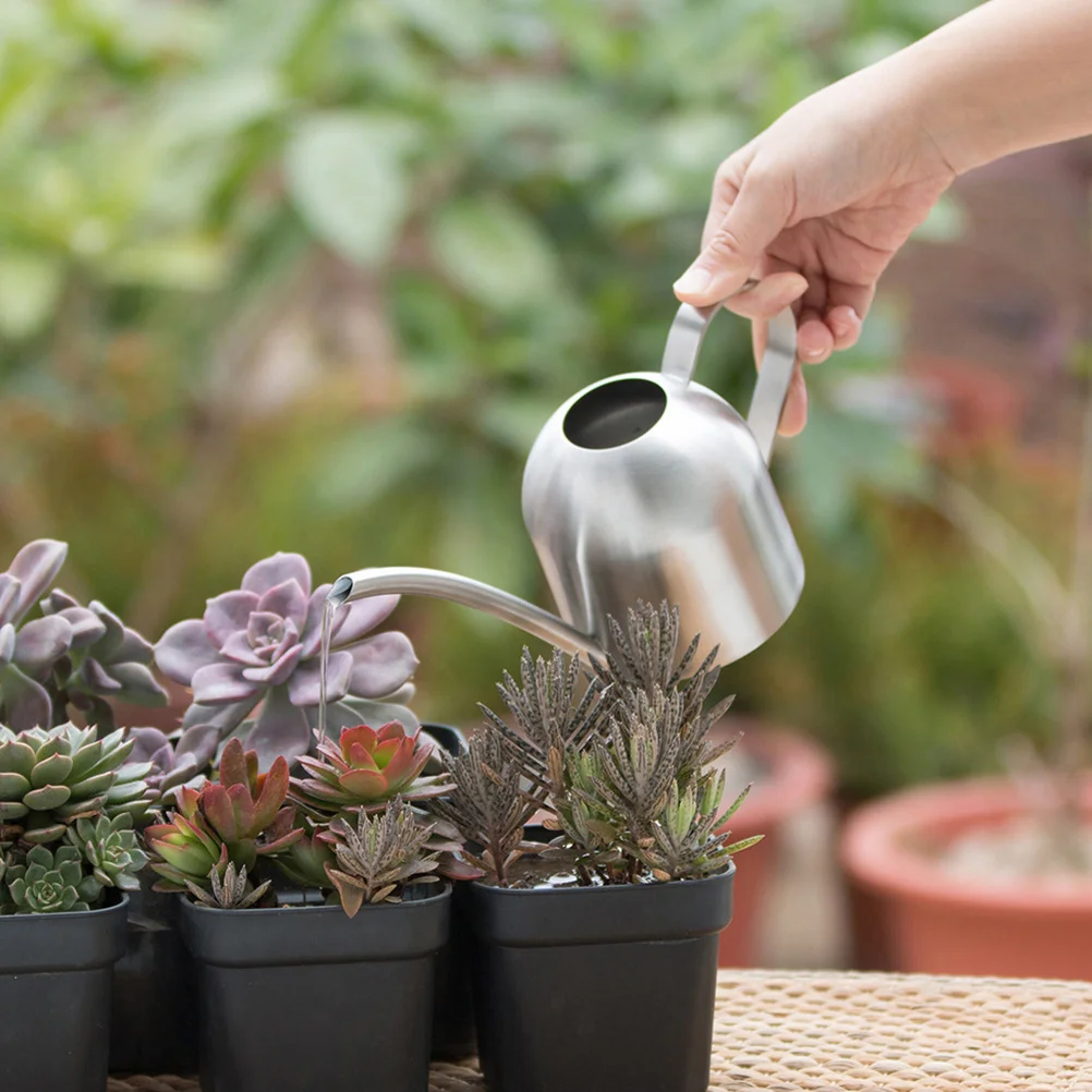 

1000ml Stainless Steel Watering Kettle Corrosion Resistant Ideal for Indoor Outdoor Plants Succulent Watering Device Flower